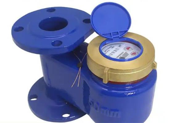 遠傳水表的型號和尺寸怎么選？ 圖2